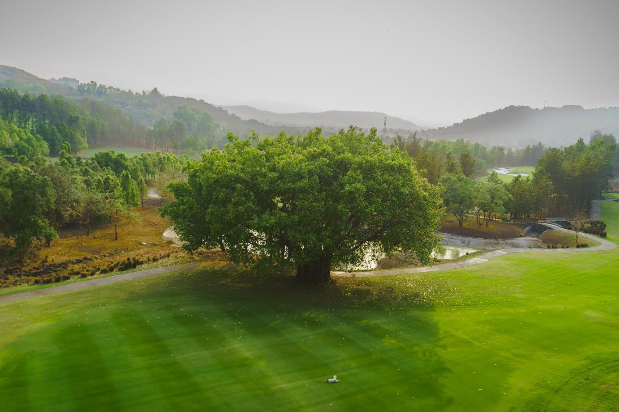Oxford Golf Resort Pirangut Екстер'єр фото